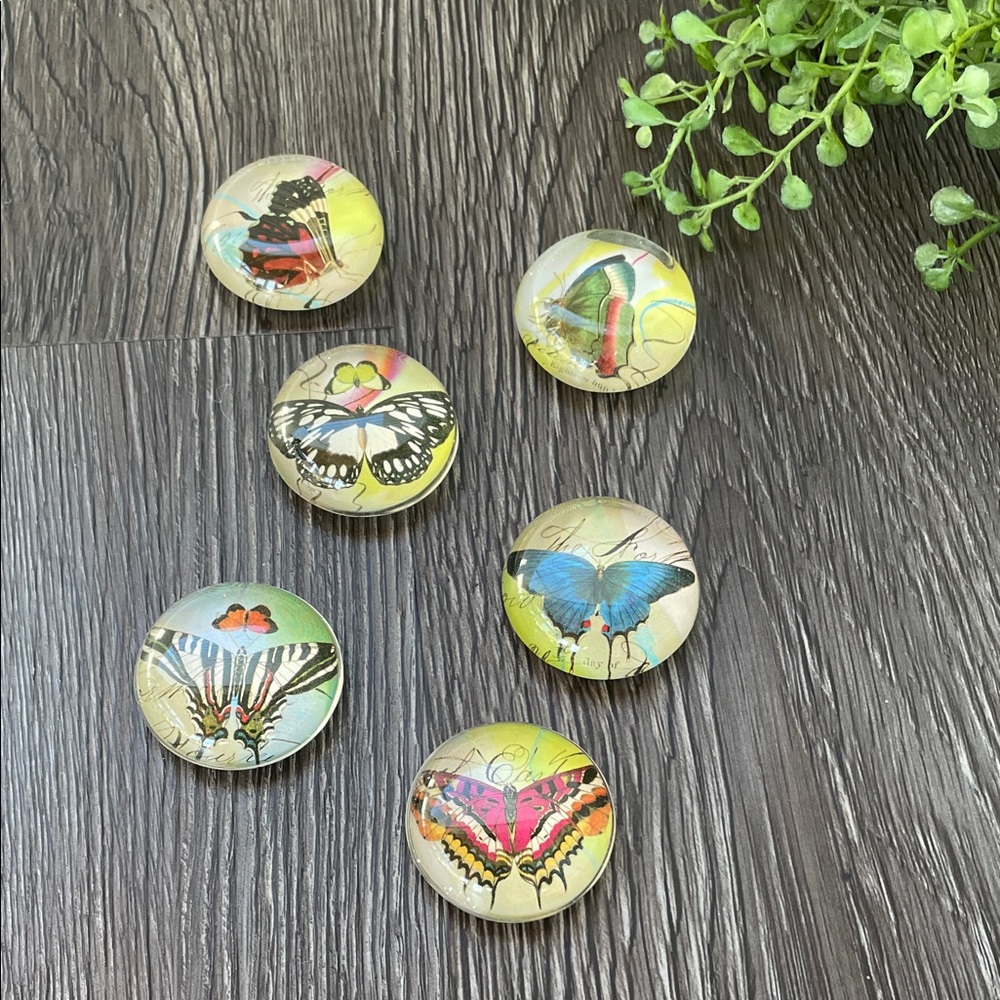 Colorful Butterfly Print Round Glass Magnets Set of 6